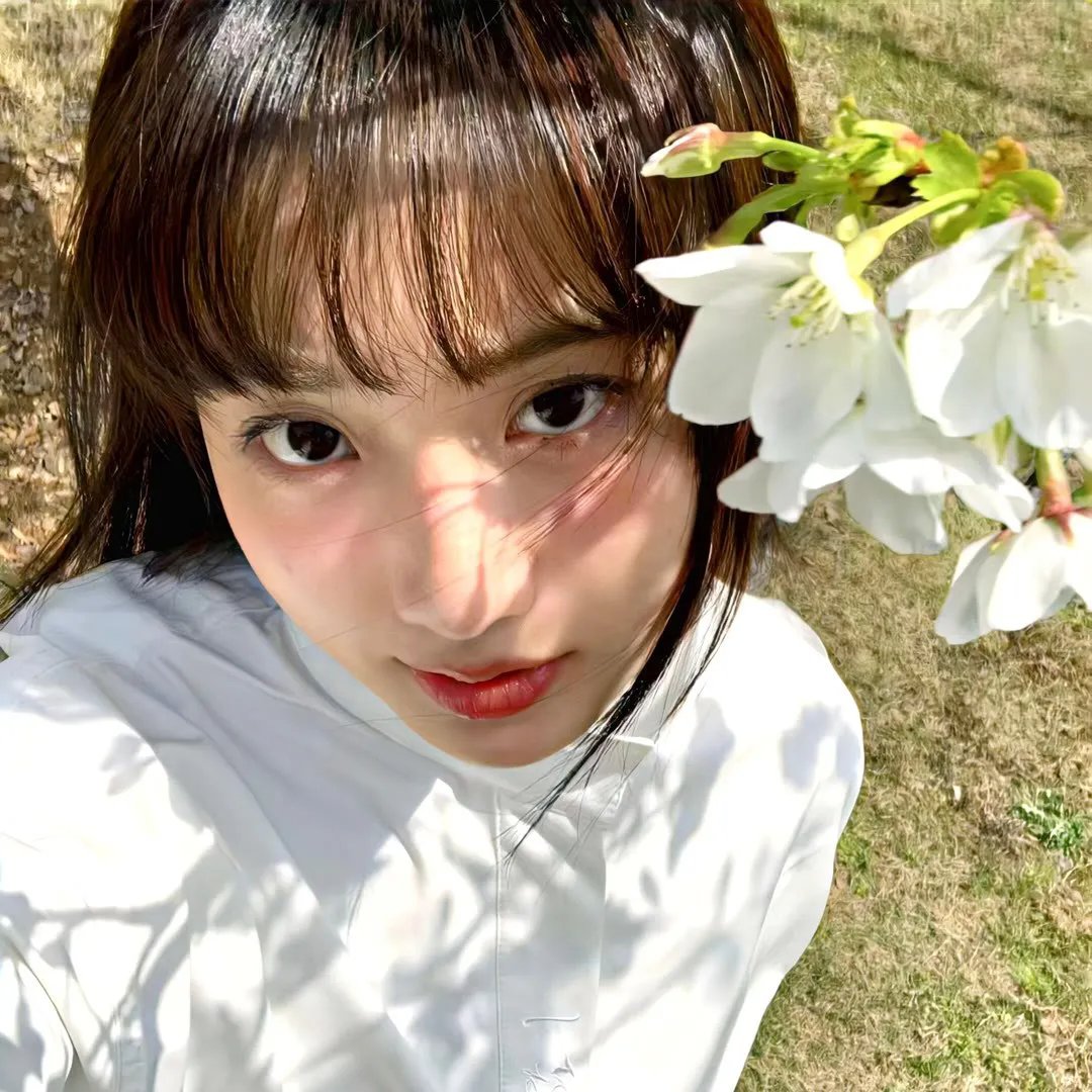 鸟儿们的奇幻冒险